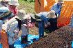 20140629_farm_15.jpg