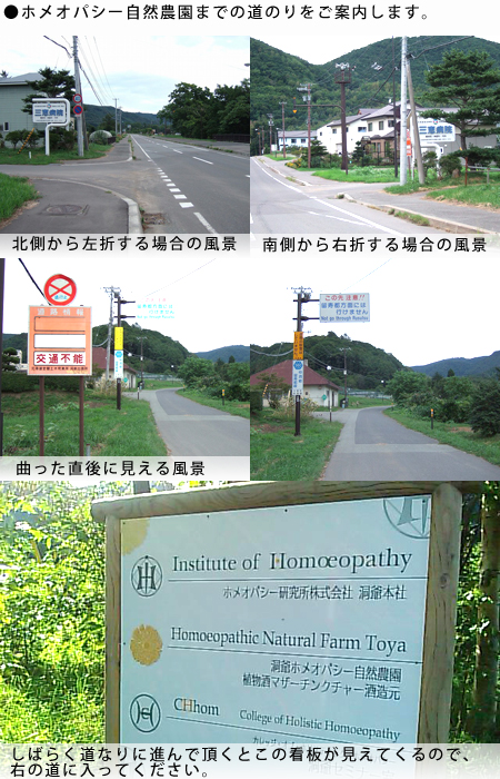 toya_roadwork.jpg
