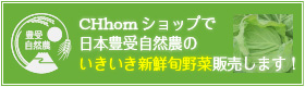日本豊受自然農のいきいき新鮮旬野菜販売します!