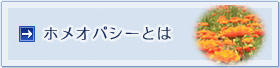 ホメオパシーとは