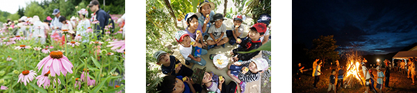 20160730toya_img2.jpg