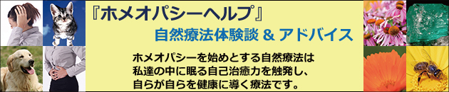 自然療法体験談&アドバイス