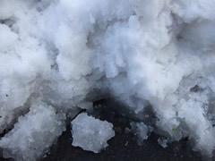 http://www.homoeopathy.ac/staffblog/20101027_sapporo_2.jpg