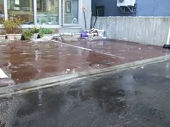 http://www.homoeopathy.ac/staffblog/20101027_sapporo_3.jpg