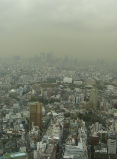 http://www.homoeopathy.ac/staffblog/20110213.jpg
