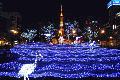 20101128_sapporo.jpg