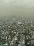 20110213.jpg