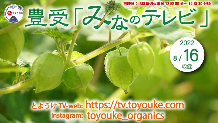 8 16 みなのテレビレポート 第28回 ほおずき畑から 日本最大のホメオパシースクールchhom 世界が注目するzenホメオパシー