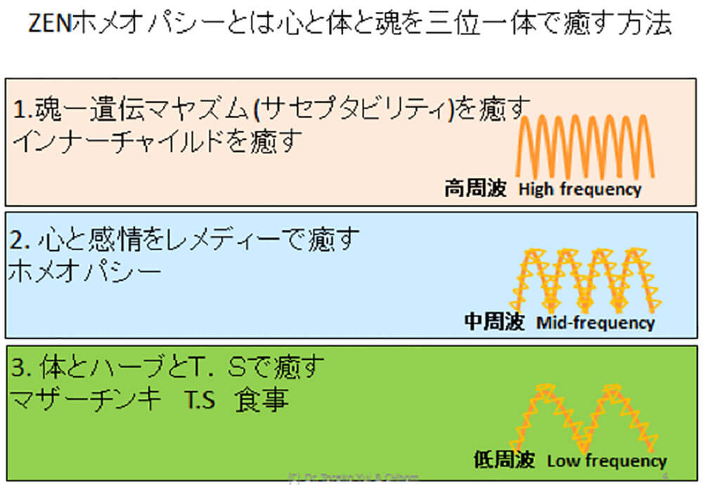 ZENホメオパシーとは｜ZENホメオパシーは、ハーネマンの教えをベースに、複雑化した現代人の病気を治癒に結びつける体・心・魂の三位一体を治療するアプローチ(方法）です。