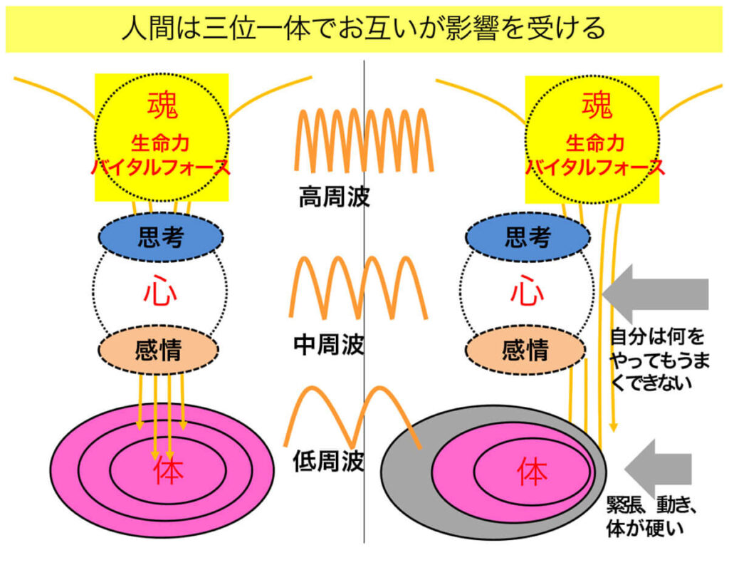 ZENホメオパシーとは|ZENホメオパシーは、ハーネマンの教えをベースに、複雑化した現代人の病気を治癒に結びつける体・心・魂の三位一体を治療するアプローチ(方法)です。
